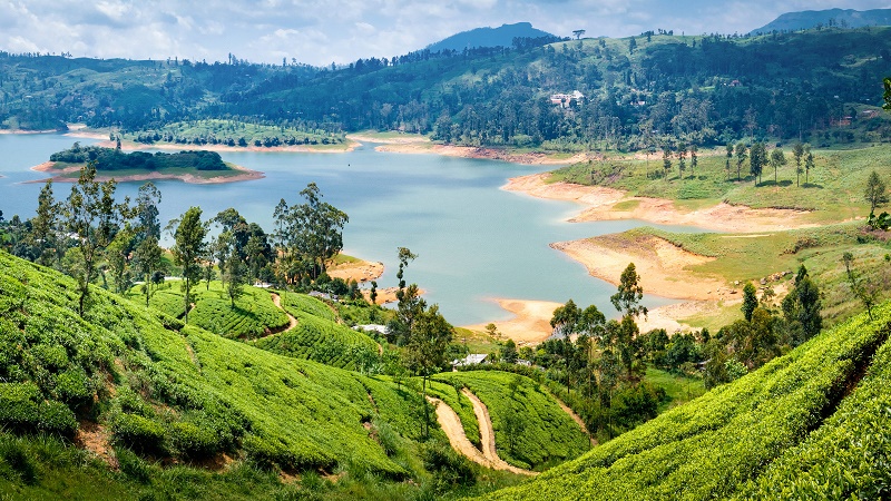 Vandretur Sri Lanka